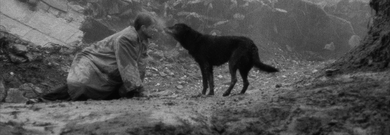 Проклятие/ Damnation (1988)